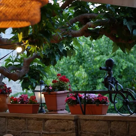 Hoetel U Santa Maria 2* 오므또