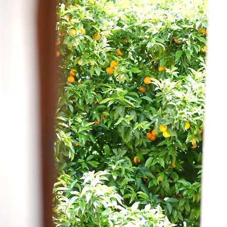 Hoetel U Santa Maria 호텔 2*