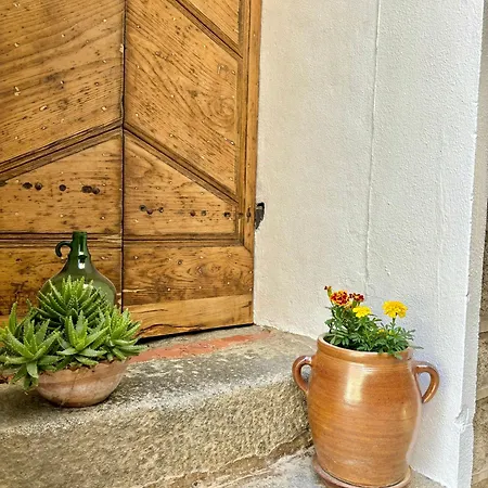 Hoetel U Santa Maria Olmeto (Corsica)