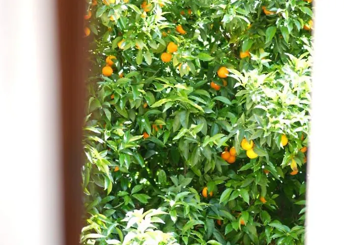 Hoetel U Santa Maria Hotel 2*